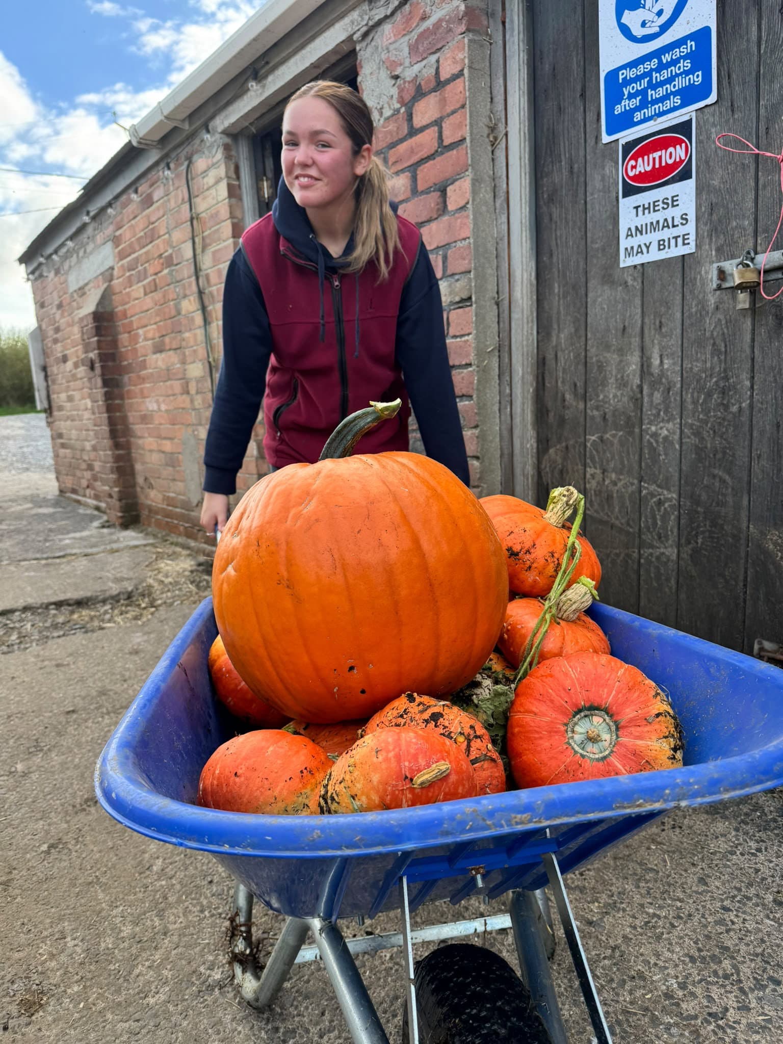 Will’s Pumpkin Festival