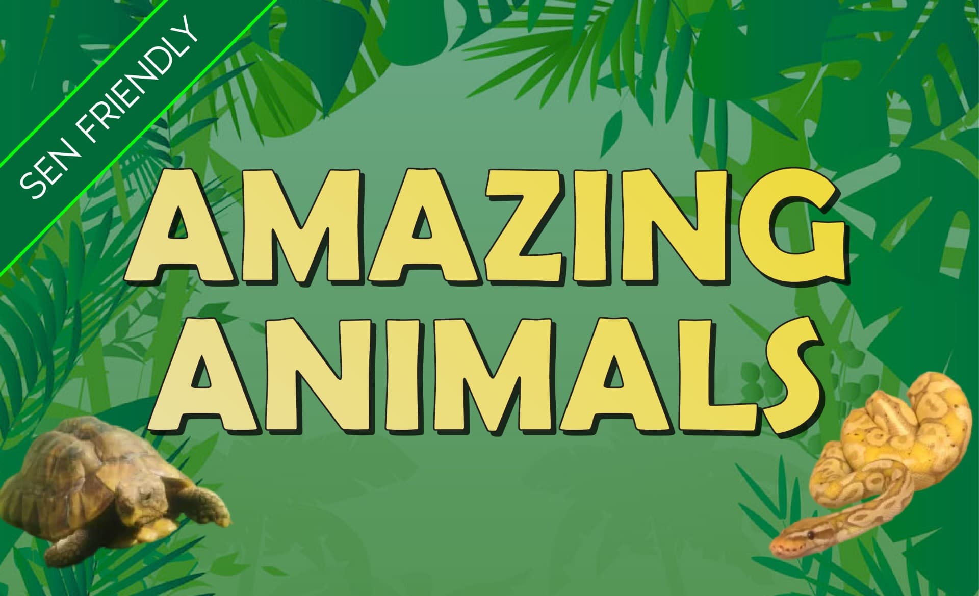 SEN Friendly Amazing Animals