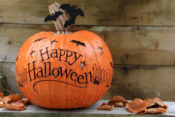 Pumpkin Trail at Manor Farm House