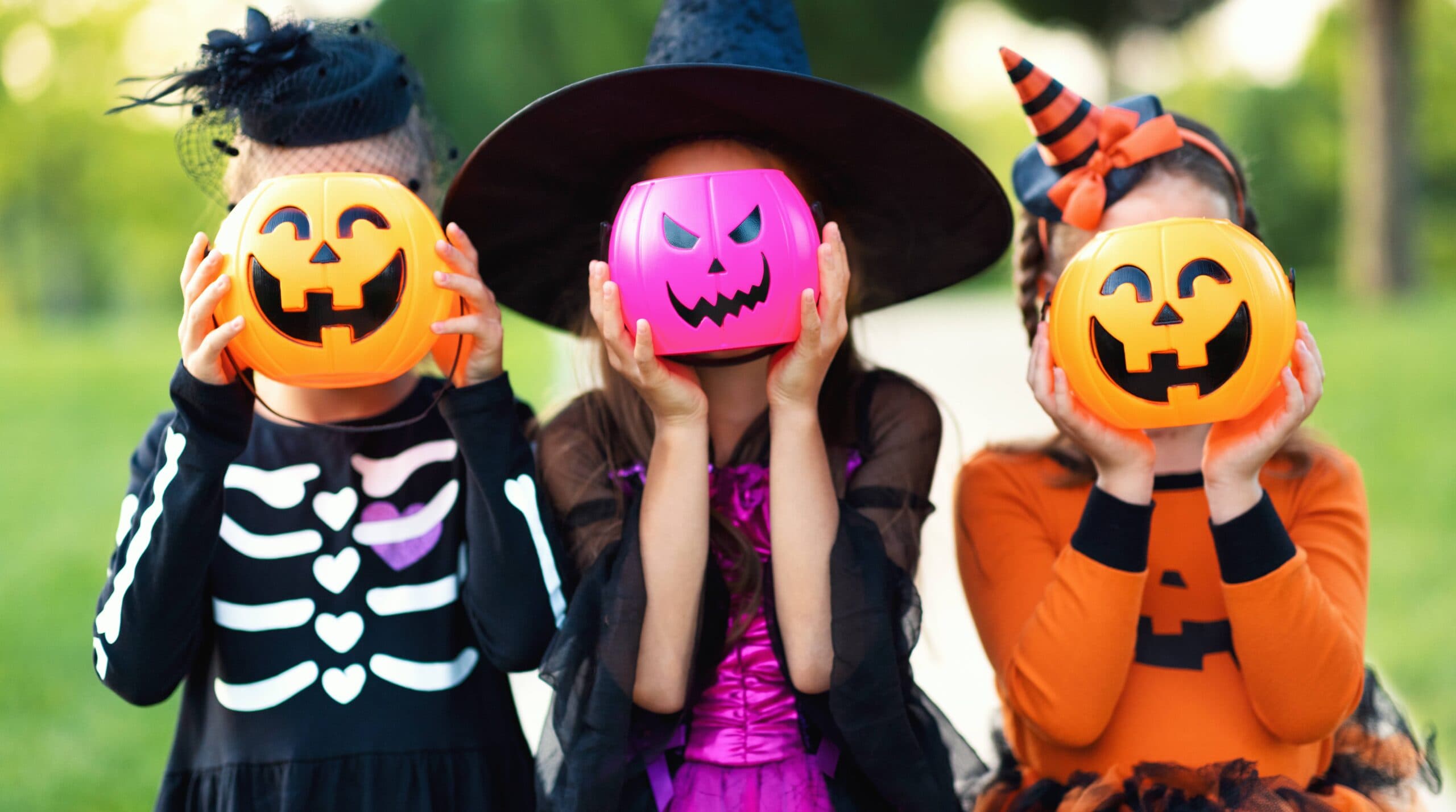 Halloween Trail