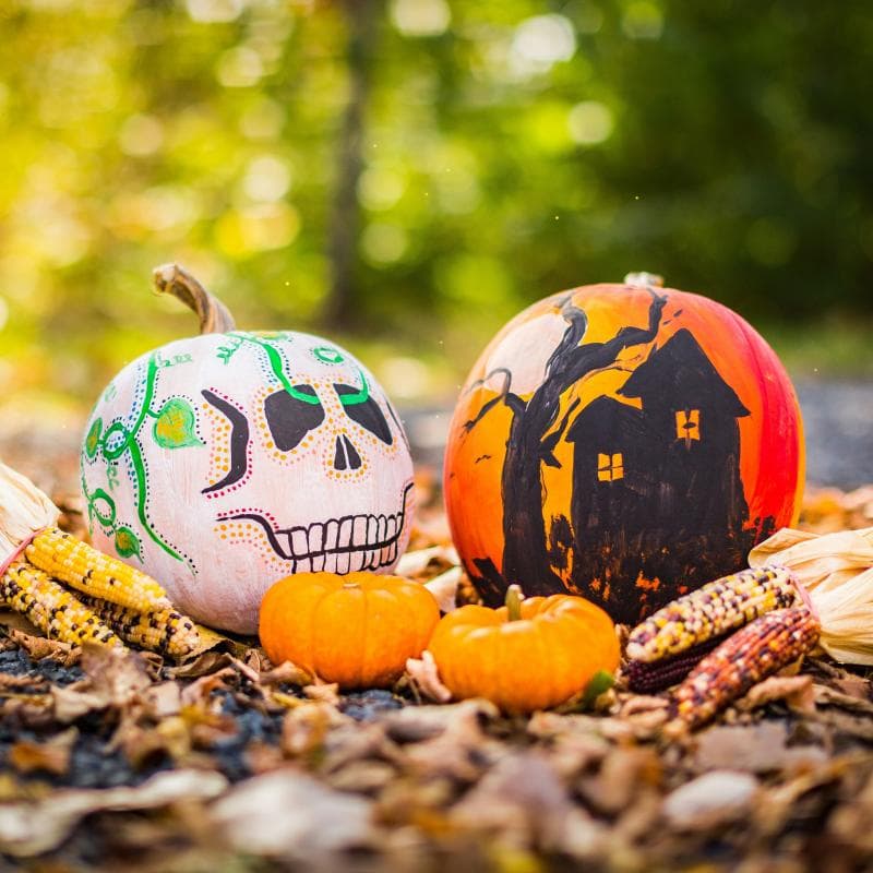 Spooky Scavenger Hunt at Rutland Water
