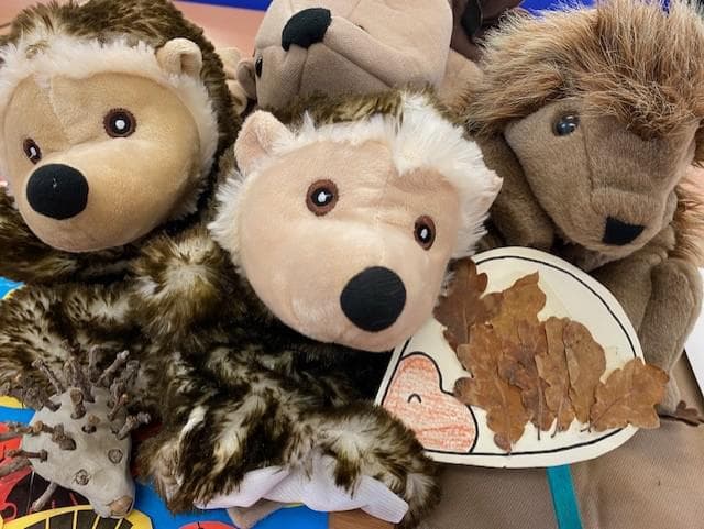 Autumn hedgehog fun at Ryton Pools Country Park