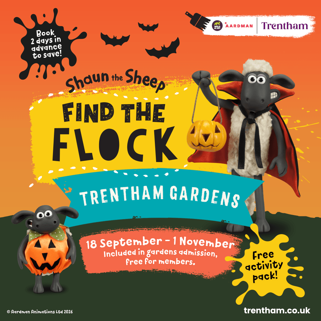 Shaun the Sheep Find the Flock Trail