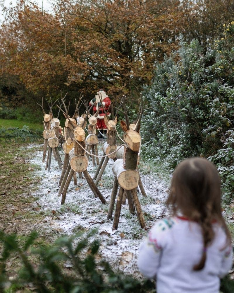Festive Fun on the Farm – Elf Training Academy