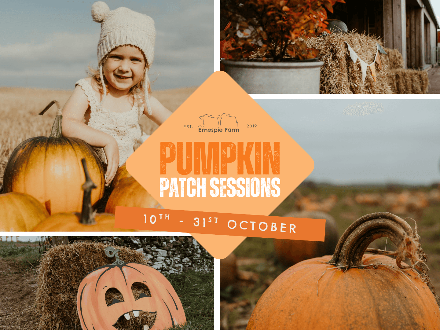 Pumpkin Patch Sessions at Ernespie Farm