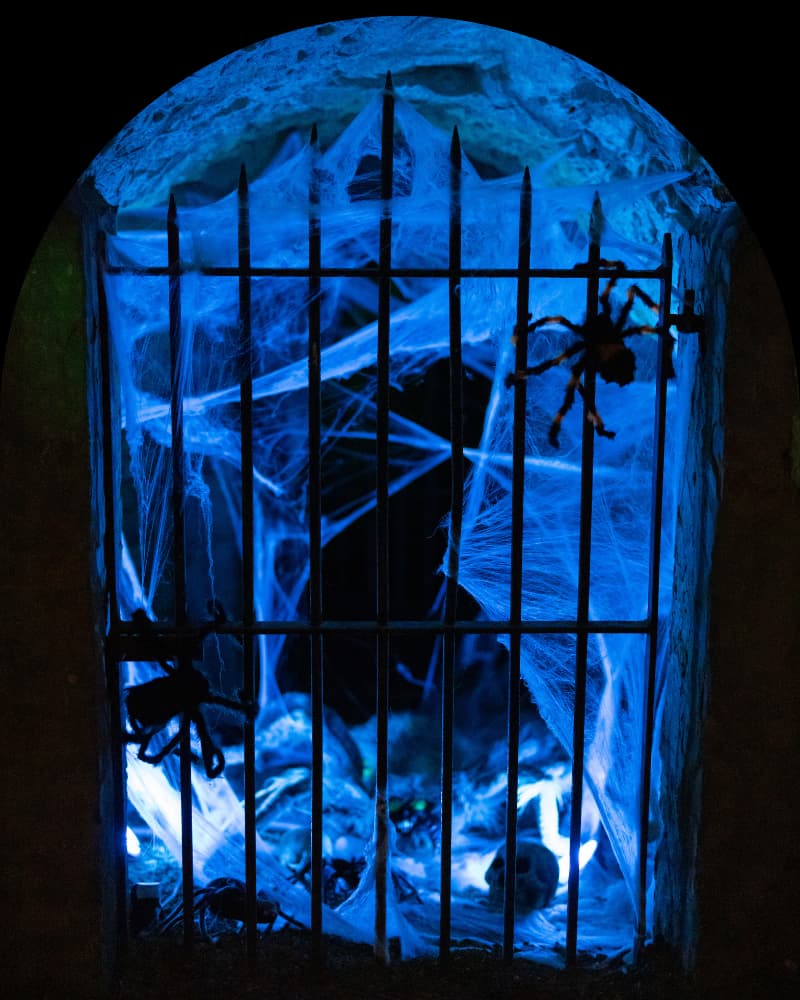 Halloween-Fest General Admission