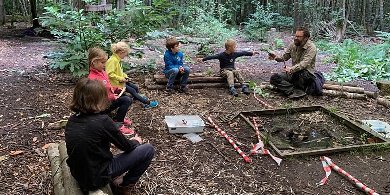 School Holiday Forest Days
