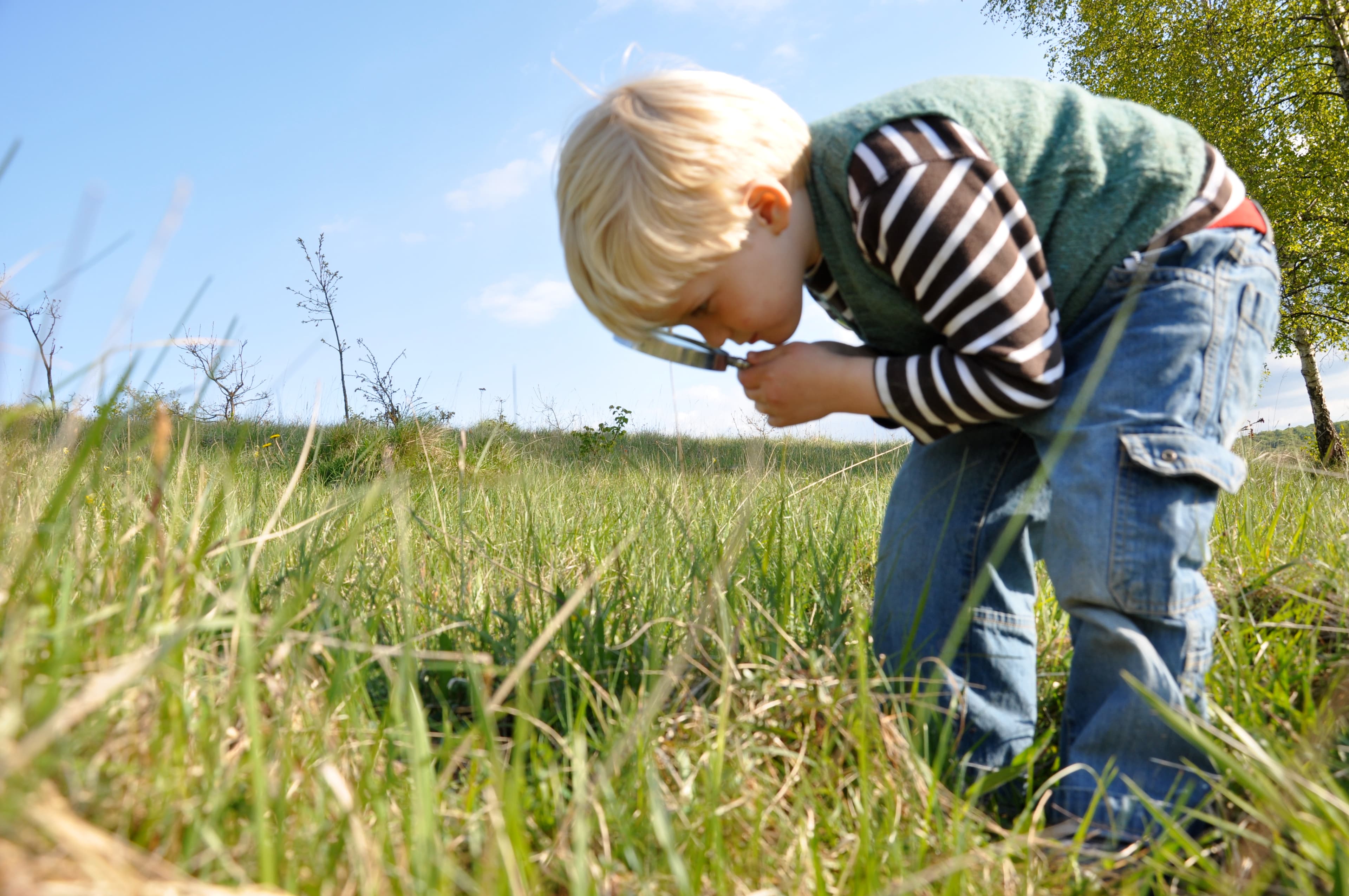 Abberton Spooky Species Hunt