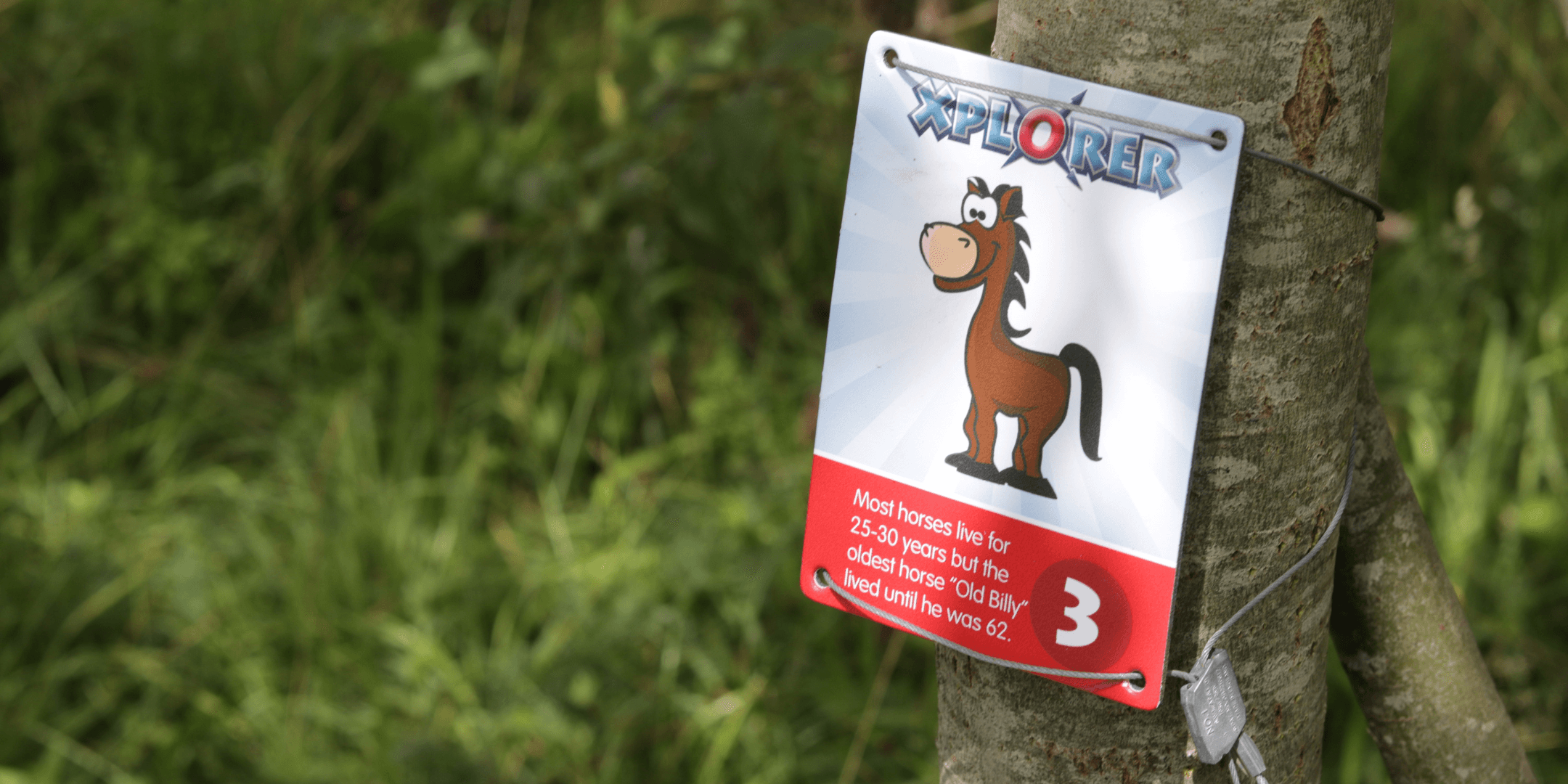 Halloween Xplorer Challenge at Brockholes Nature Reserve