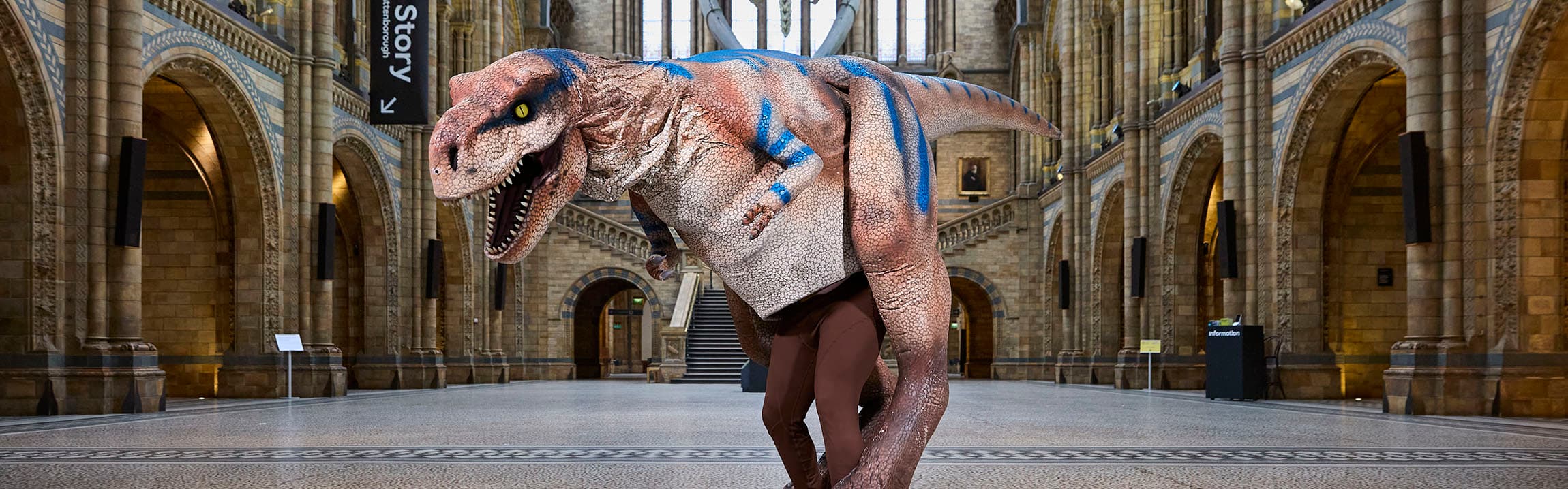 T. Rex Show with Teach Rex