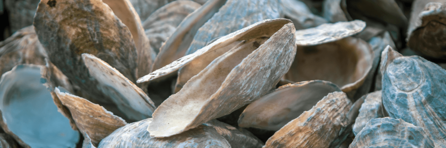 Oyster Craft
