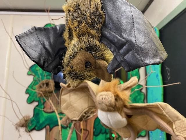 Batty Workshop at Ryton Pools Country Park