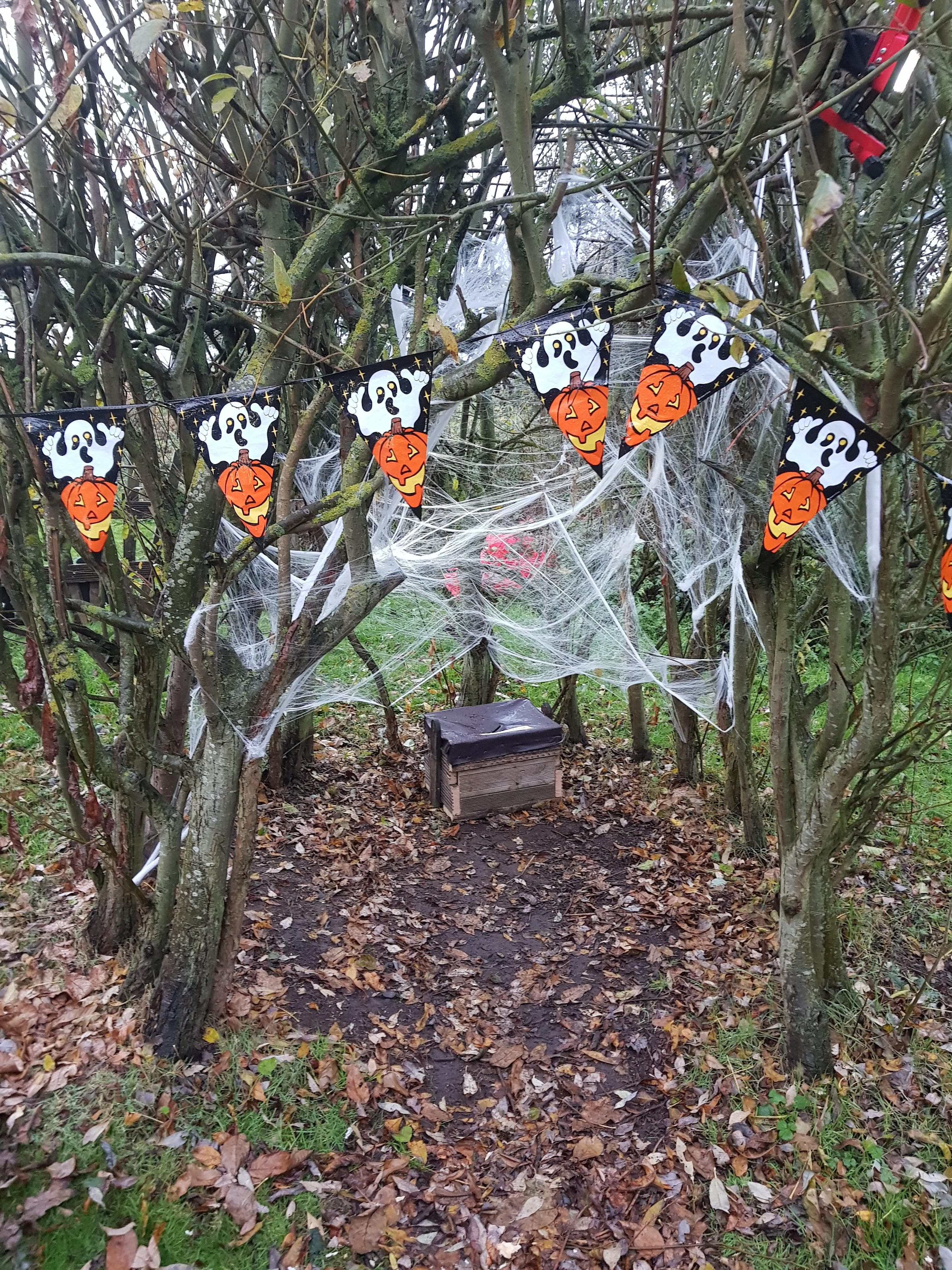 Spooky Masks and Crafts at Ryton Pools Country Park