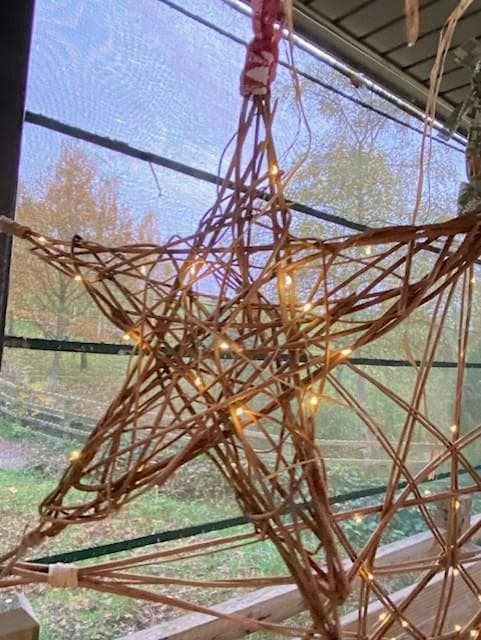 Willow Stars at Ryton Pools Country Park