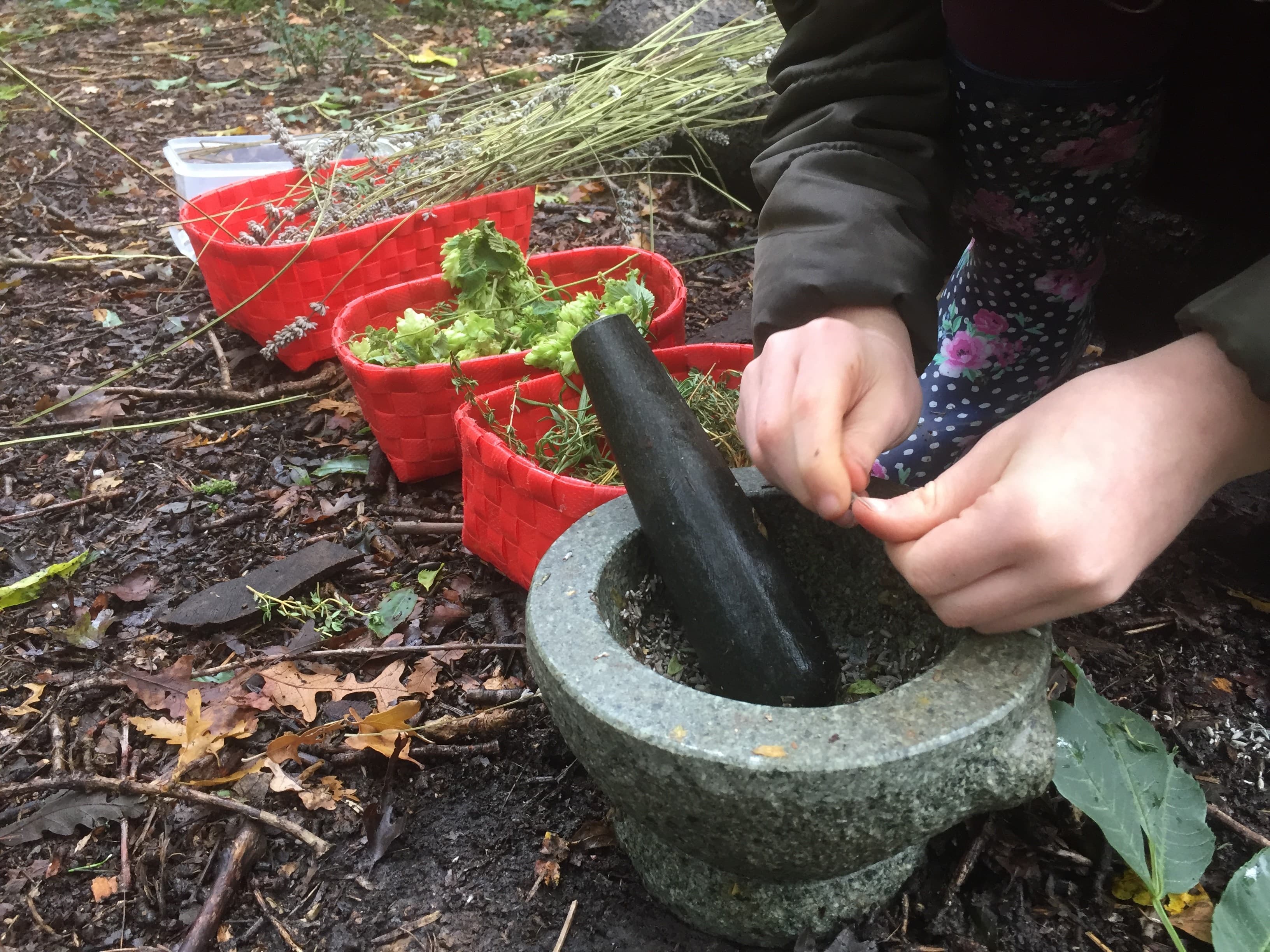 Hanningfield Spooky Spells and Pongy Potions