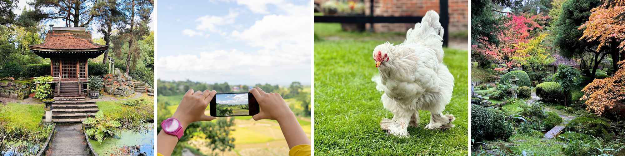 Family Smartphone Photography Workshop