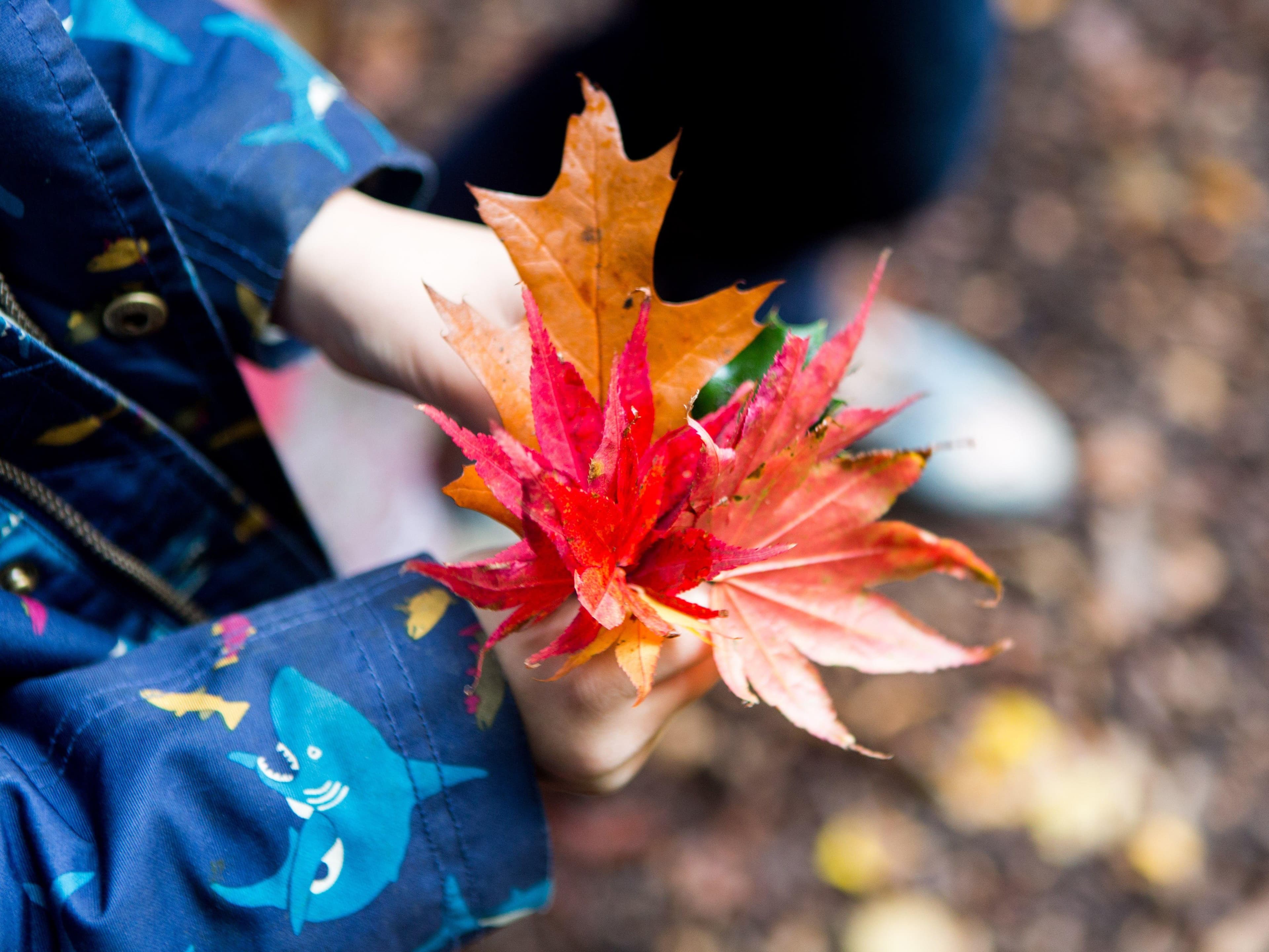 Wild at Art - Children's Holiday Activity