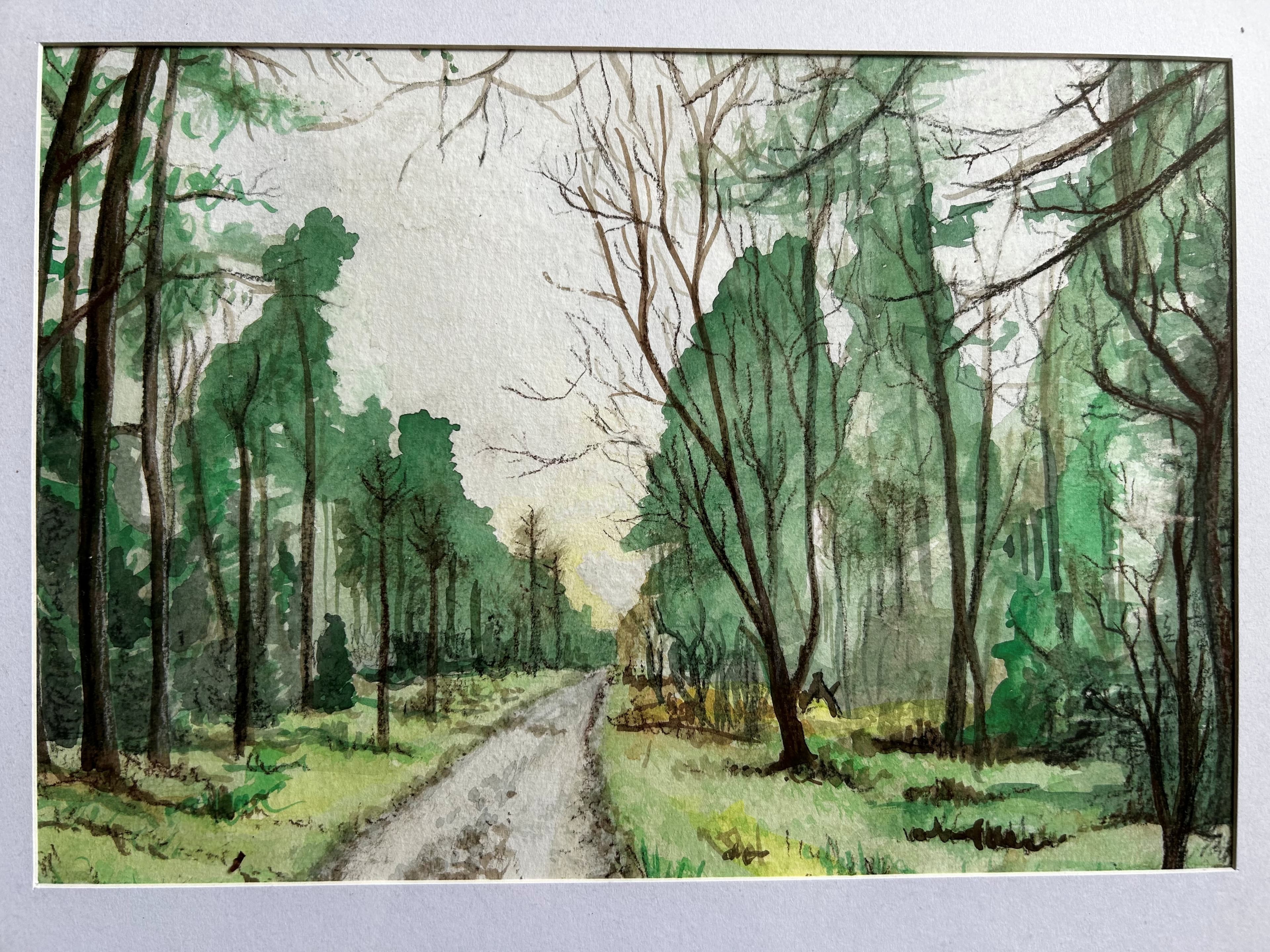 Forest Through Your Eyes