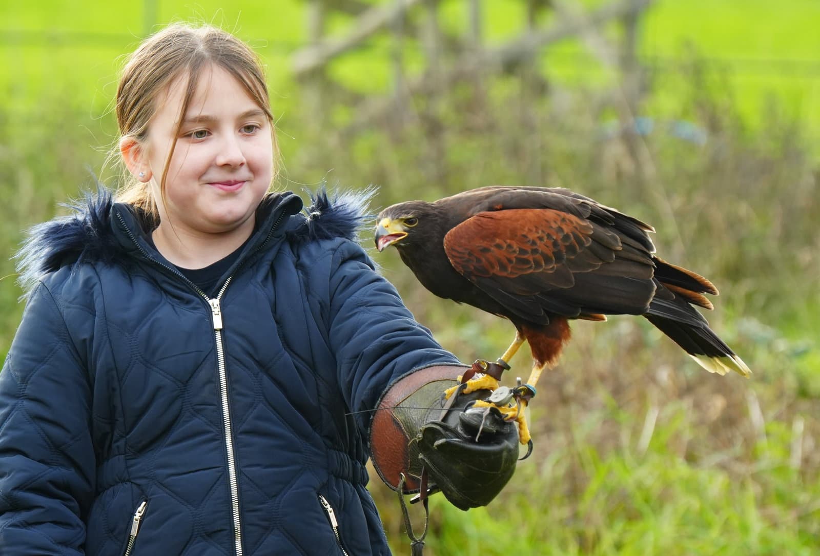 Junior Bird Keeper Experience