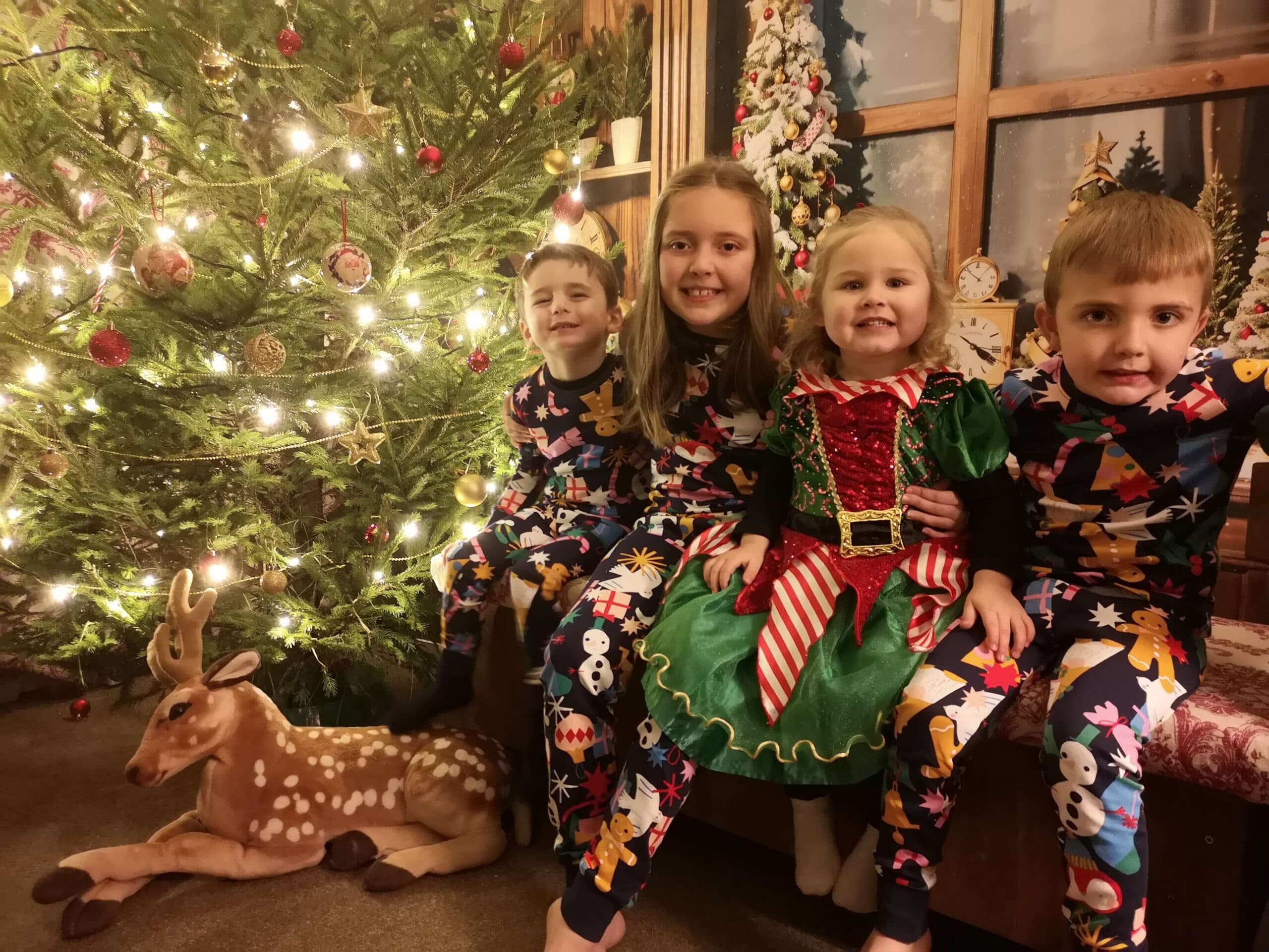 Roves Christmas Experience