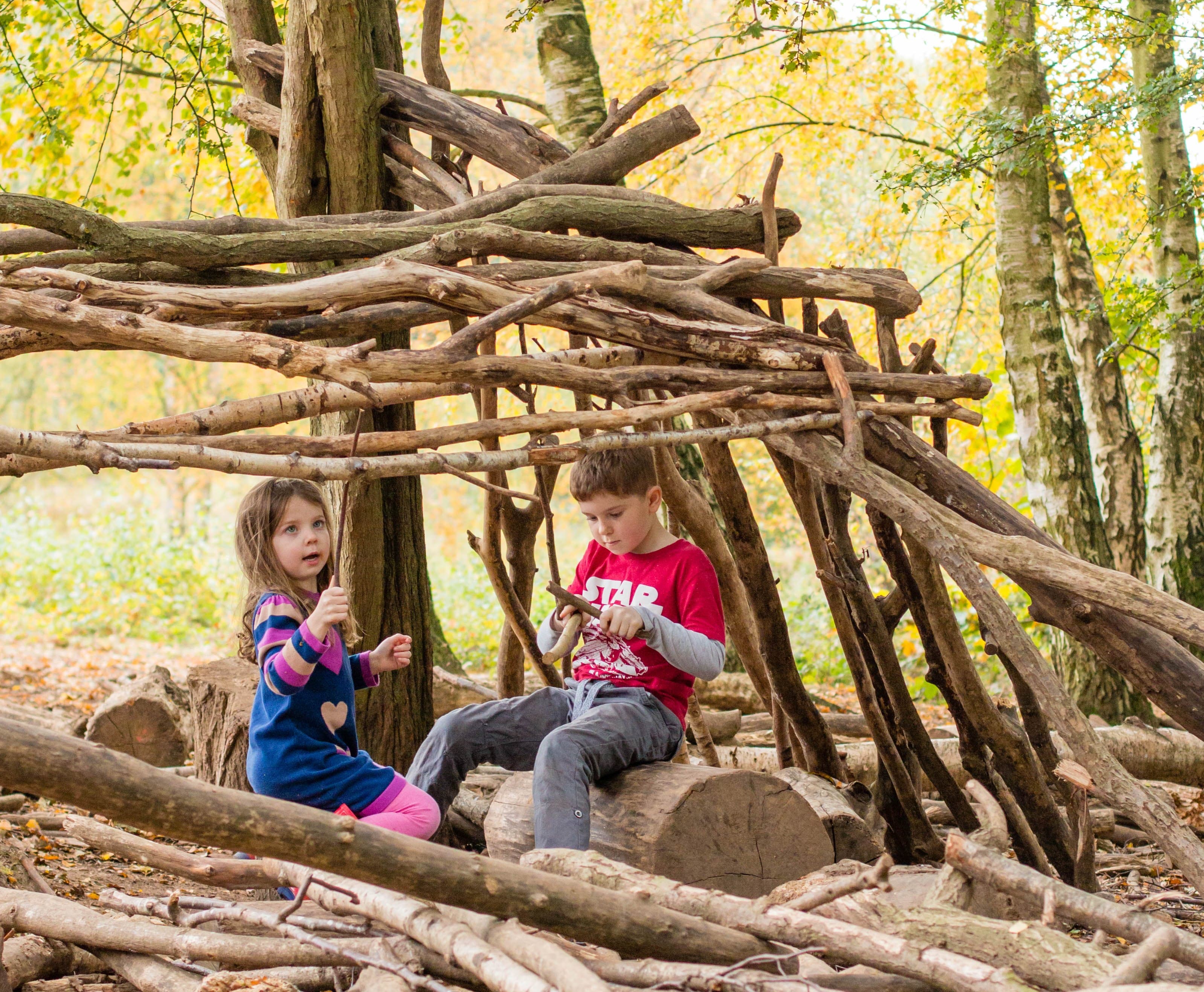 Wildlife Watch: Creepy Crawly Bug Hunt (4+)