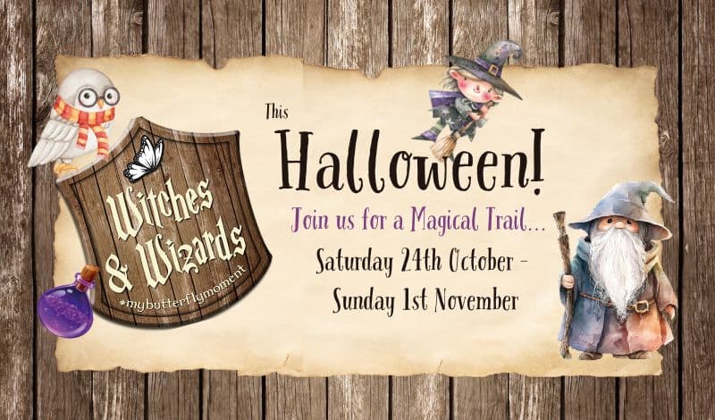 Witches and Wizards Halloween Trail