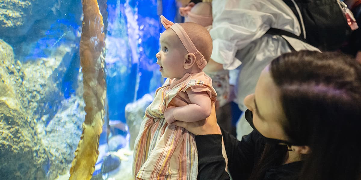 Little World at World Museum