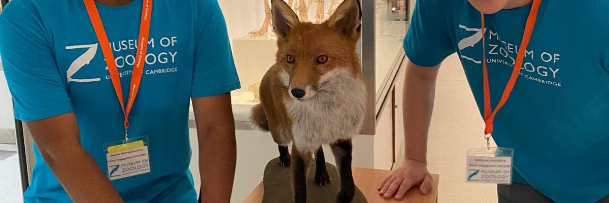 Winter Wildlife Family Day