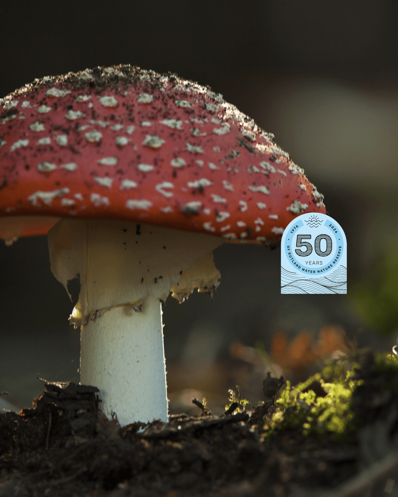 Wild Walk: Fungi Foray on National Fungus Day at Rutland Water