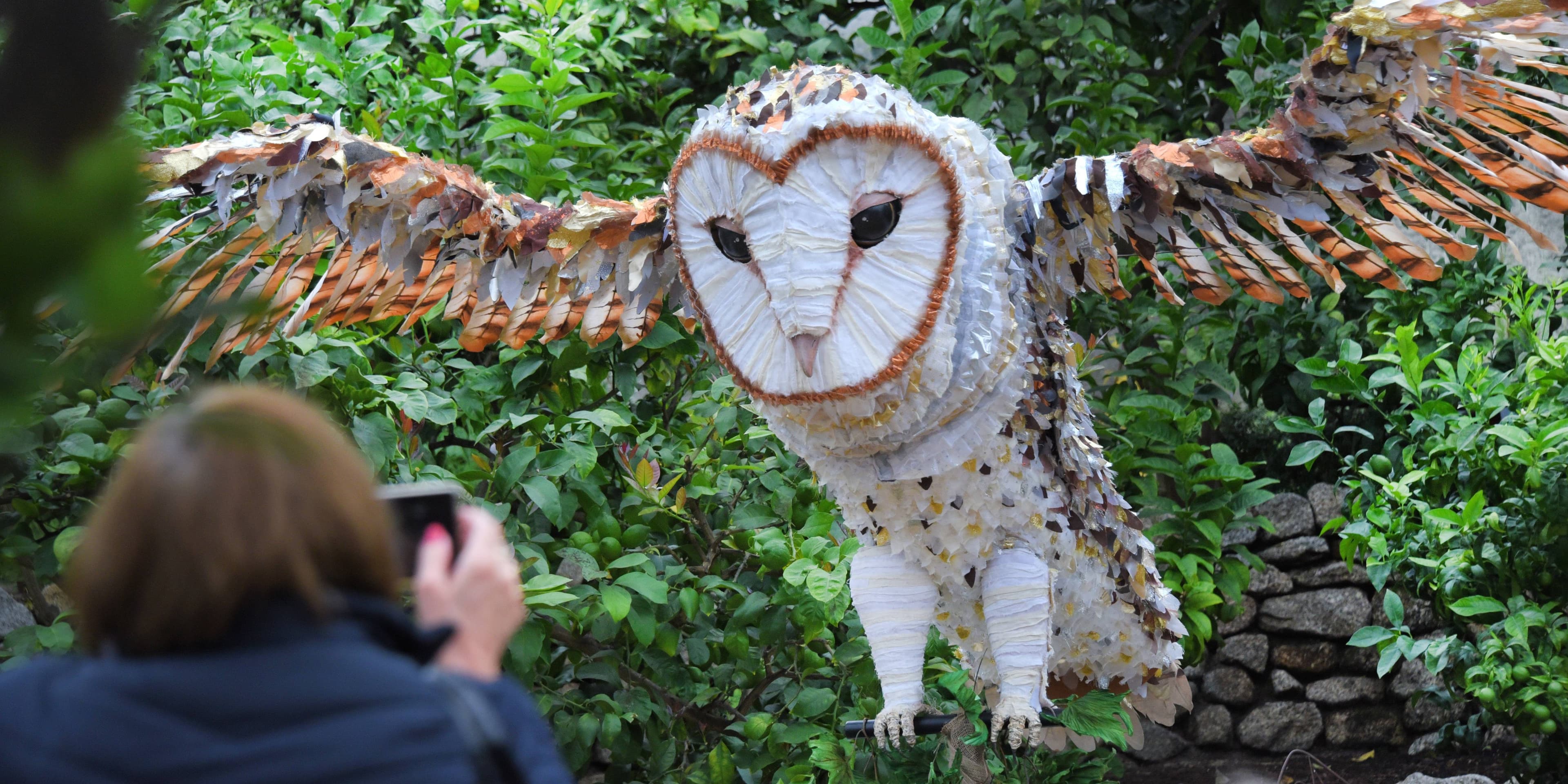 The Magical Owl