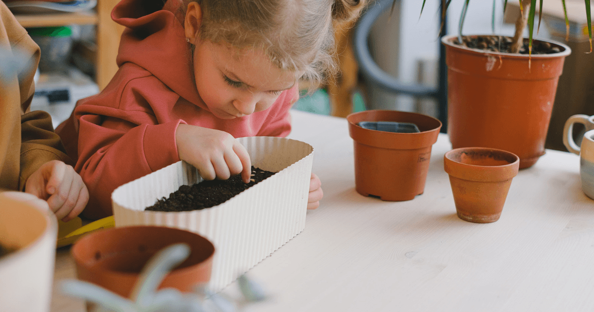 Autumn Seed Planting