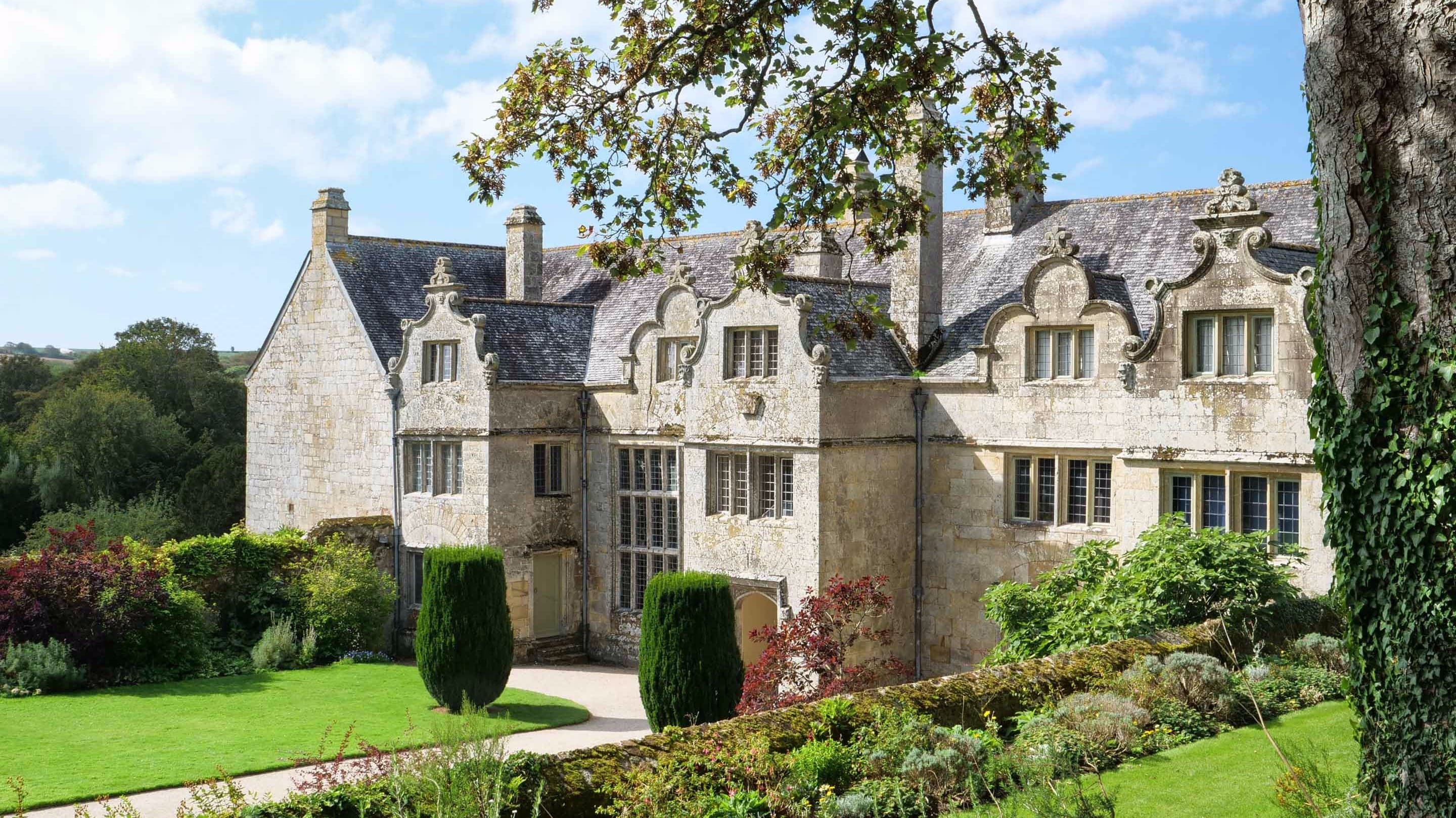 October half term: The reign of the wyrm and the witch