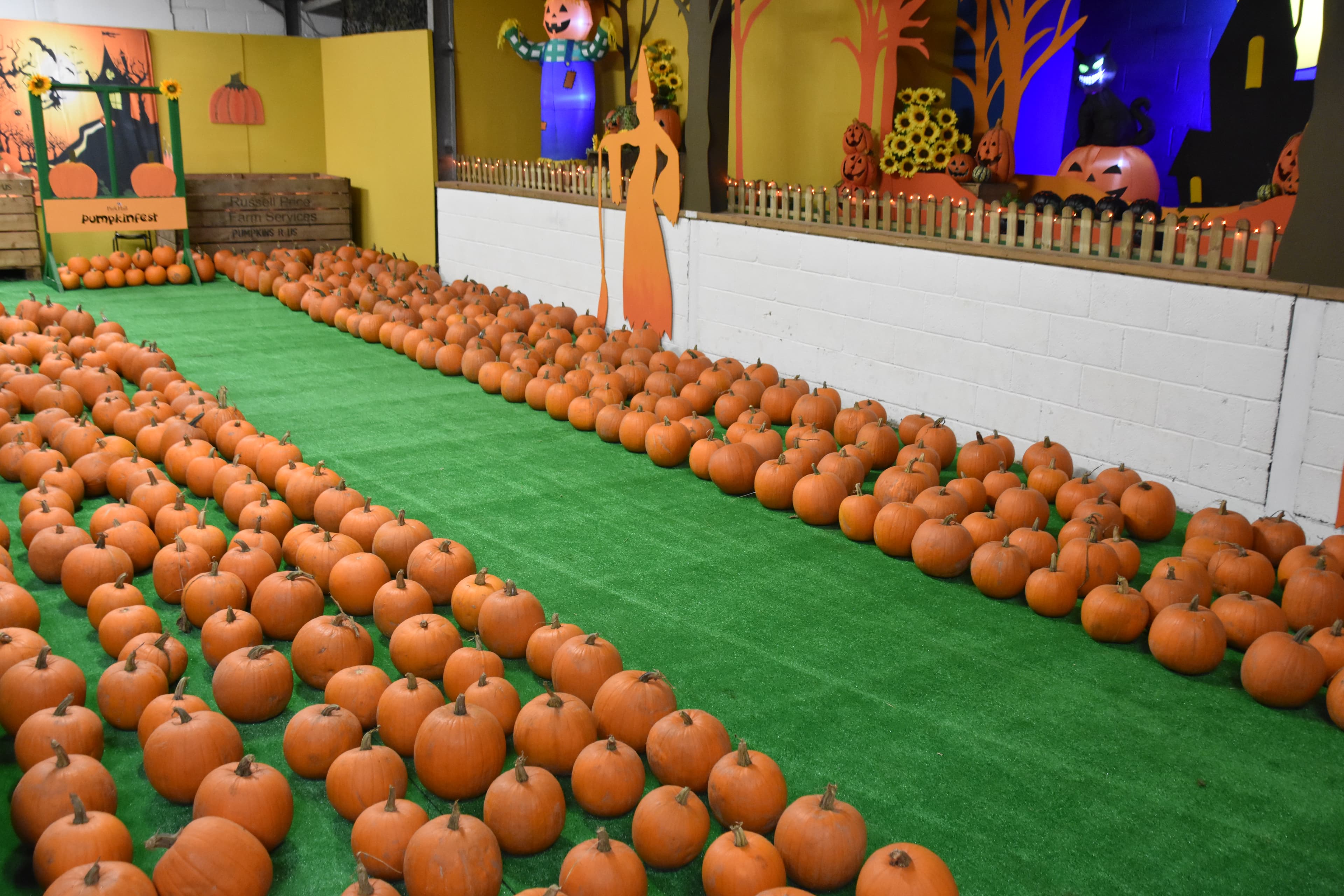 Pumpkinfest