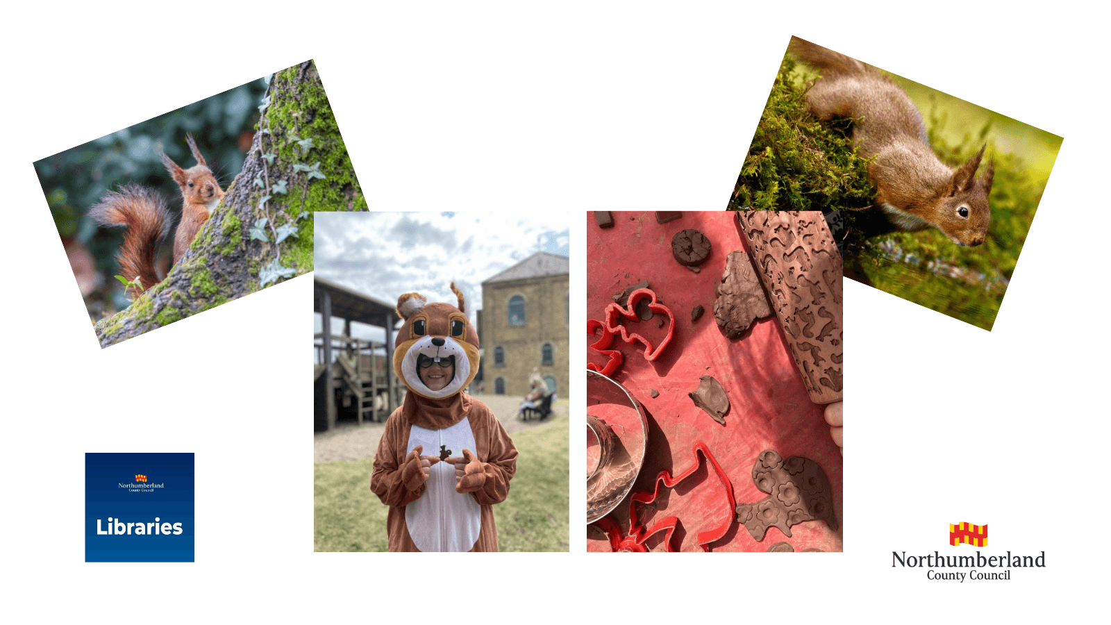 Blyth Library - Red Squirrel Recovery Project - Green Libraries Week