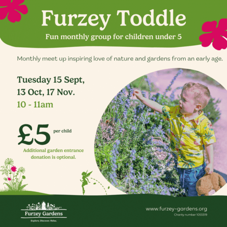Furzey Toddle