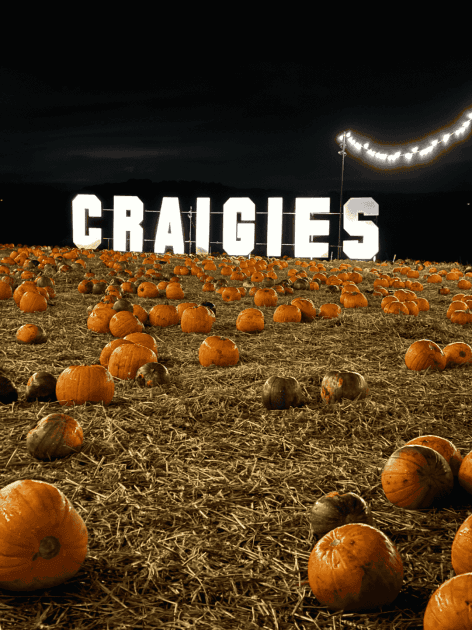 Pumpkin Festival After Dark