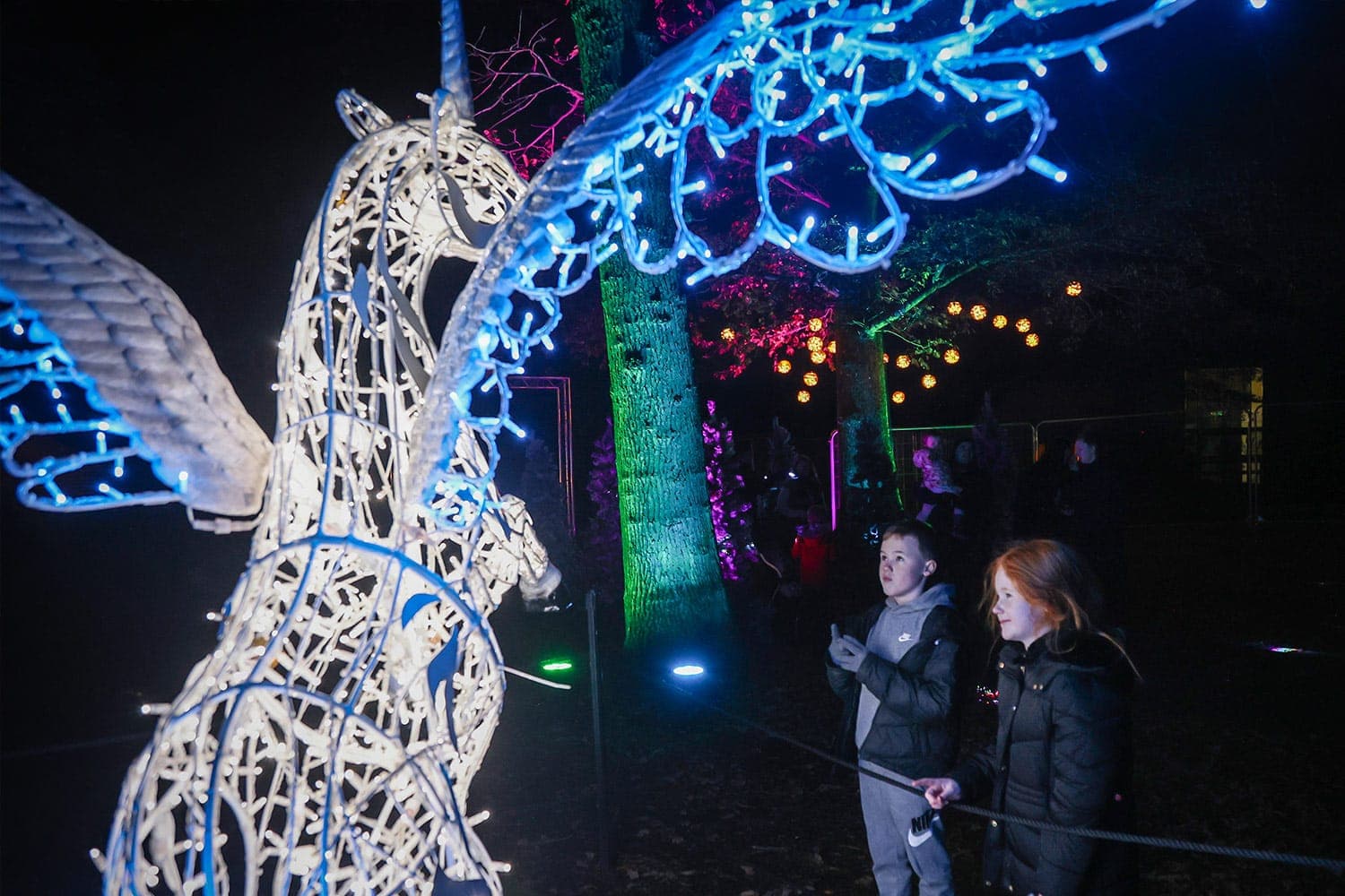 Christmas at Marwell Quiet Sessions