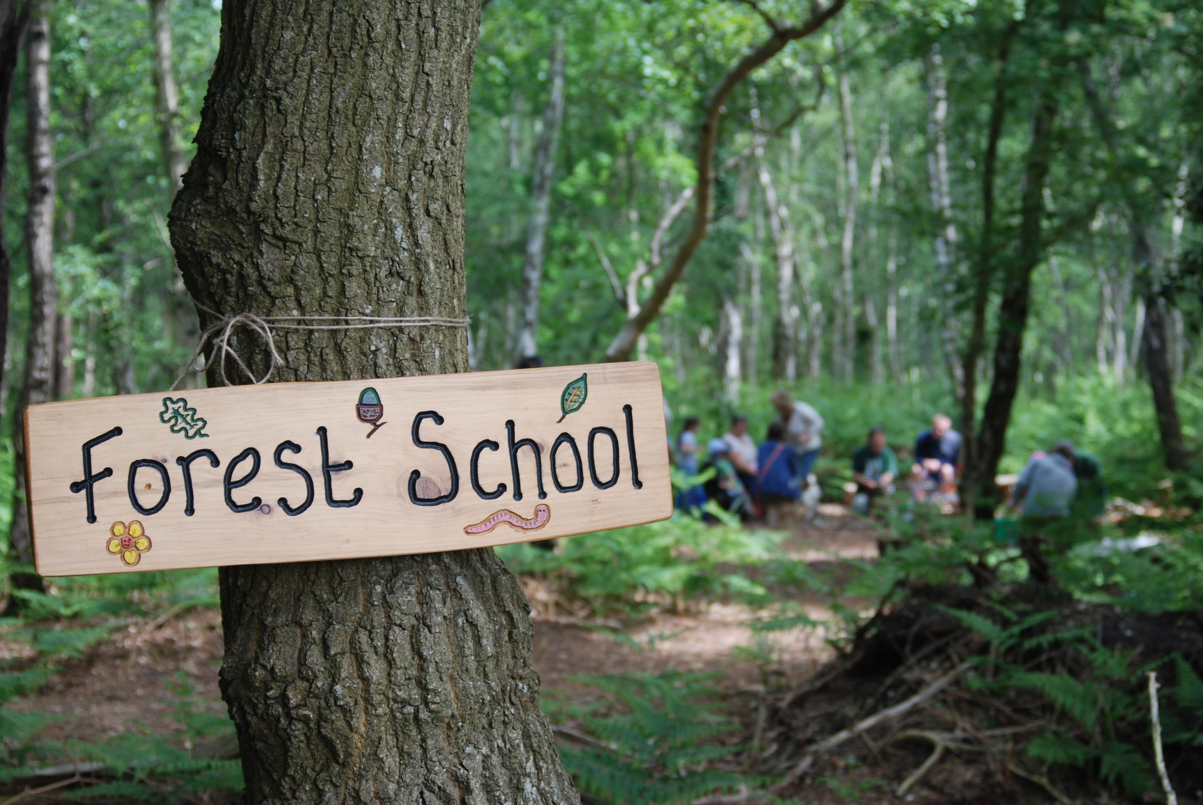 Testwood Lakes Forest School programme for 1.5-5 years