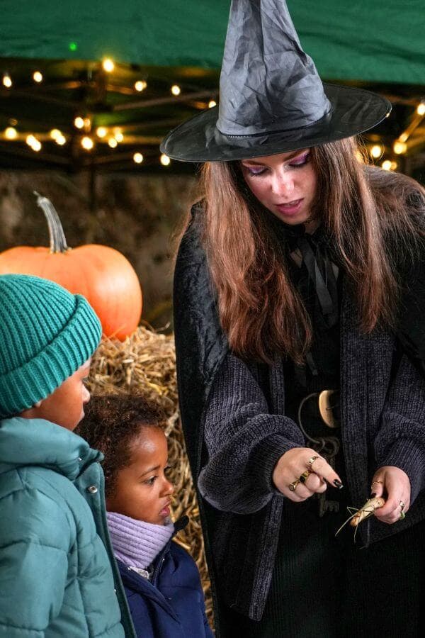 Hogshaw School of Witchcraft & Wizardry