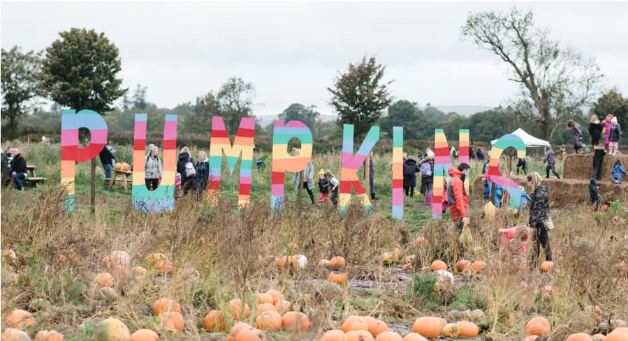 Arnprior Pumpkins