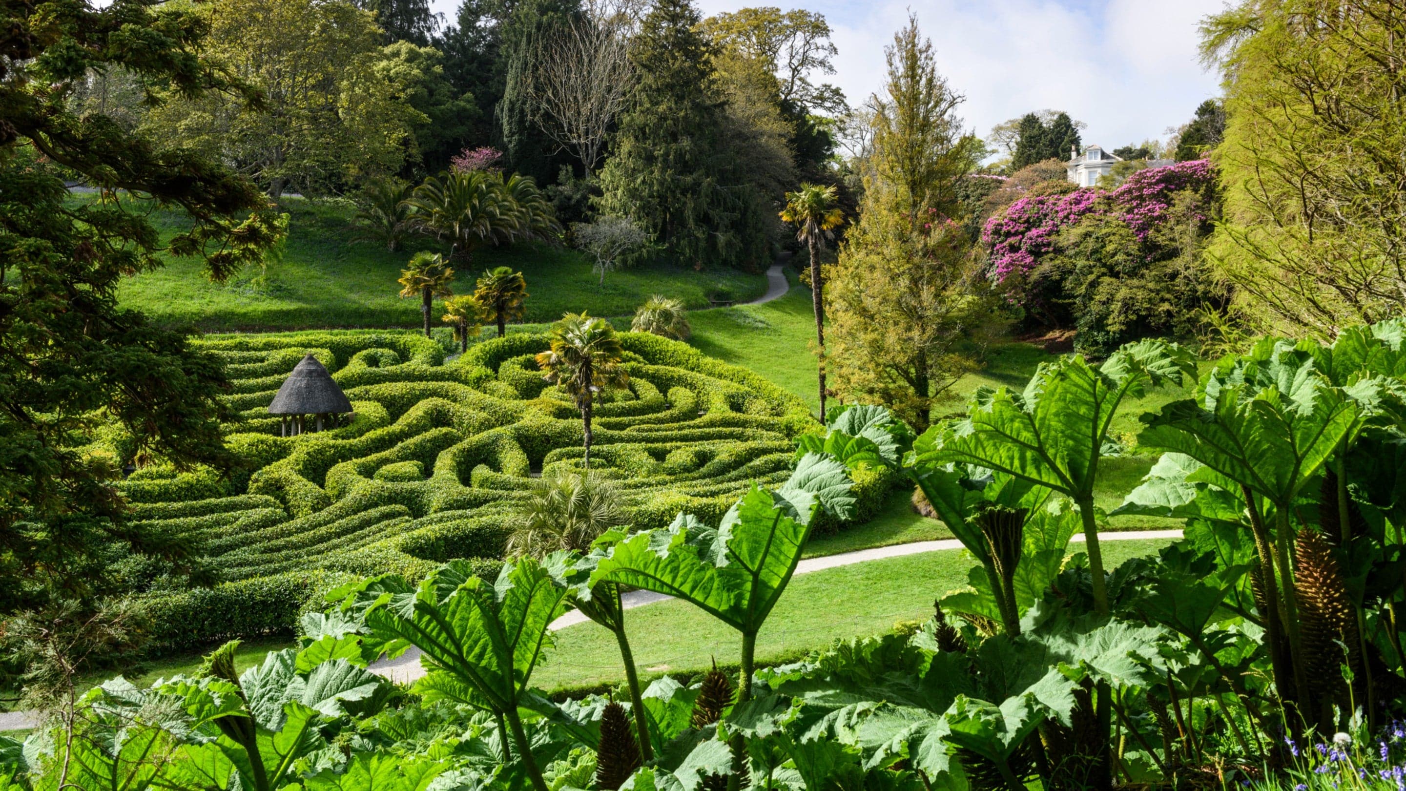 October half term at Glendurgan
