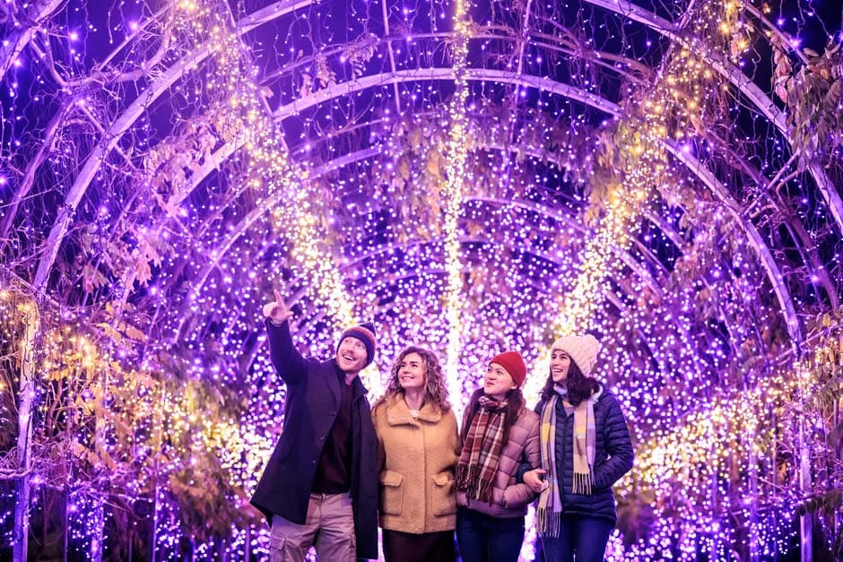 RHS Glow 2026 at RHS Wisley