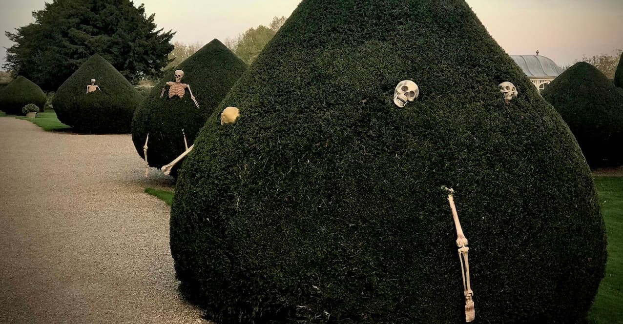 Halloween Trail