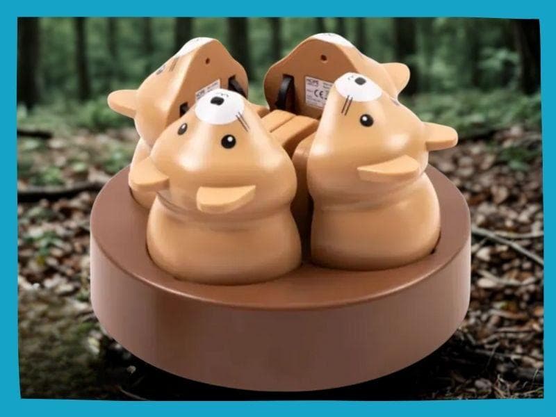 Woodland Friends Storytime & Coding Activity