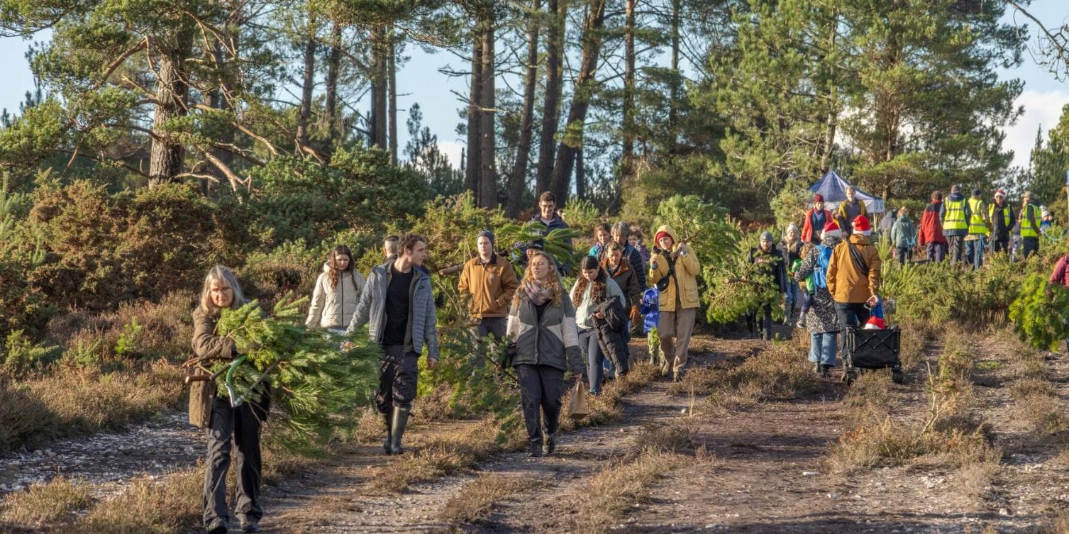 Dorset Christmas Festival - Pull a Pine