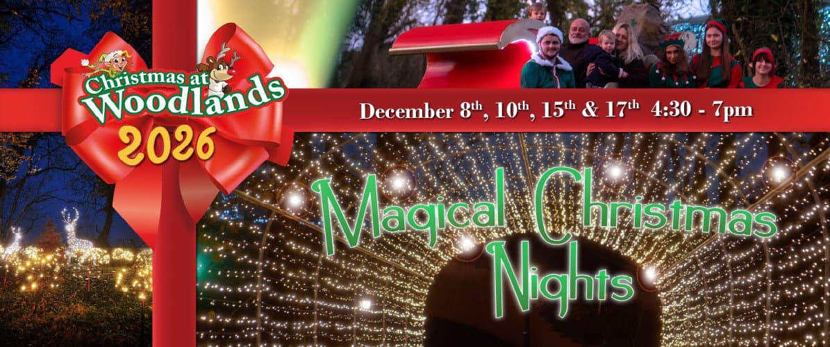 Magical Christmas Nights at Woodlands