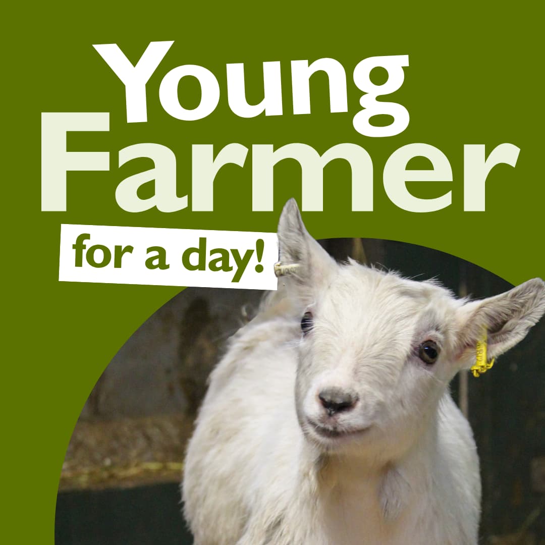 Young Farmer for a Day