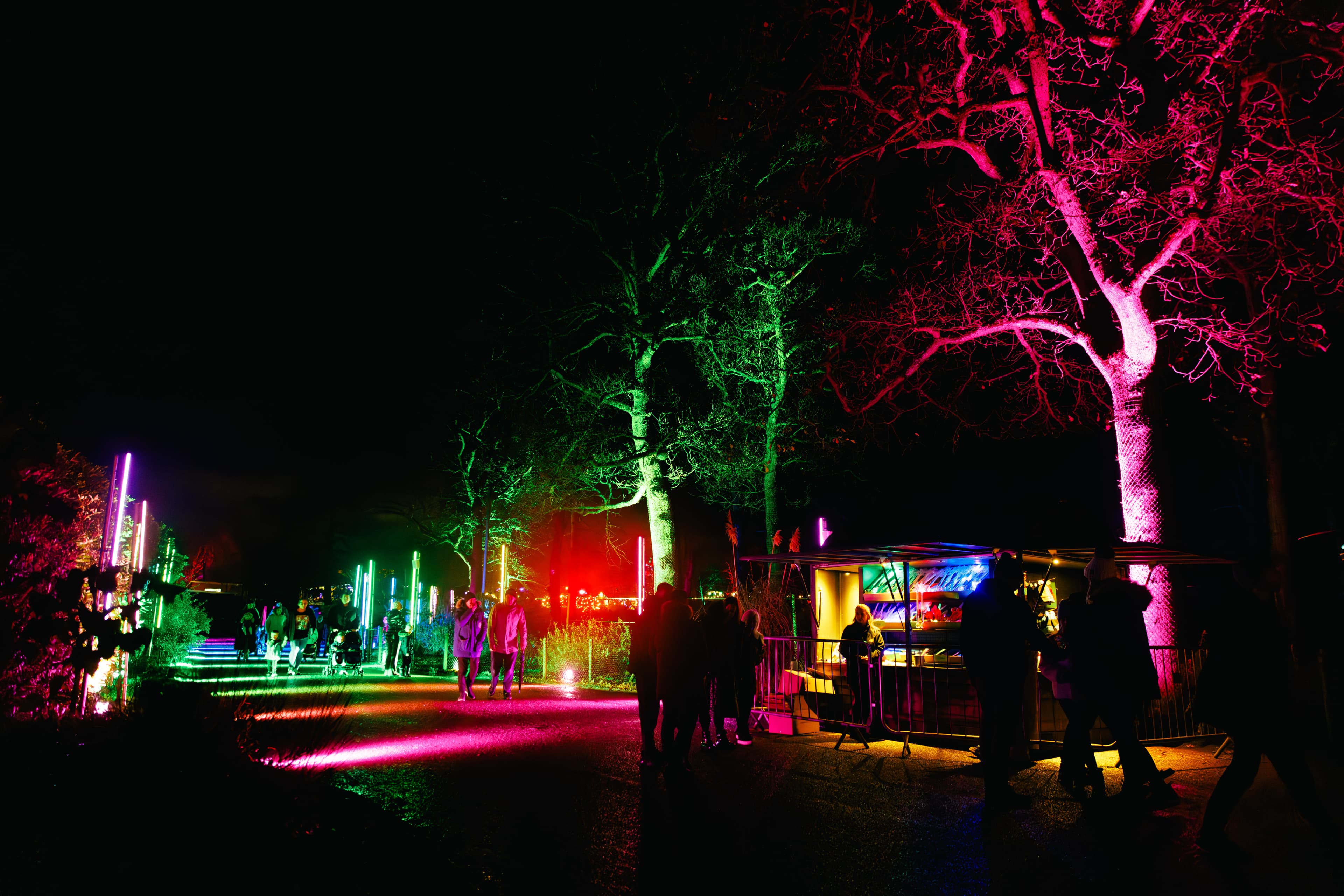 Enchanted