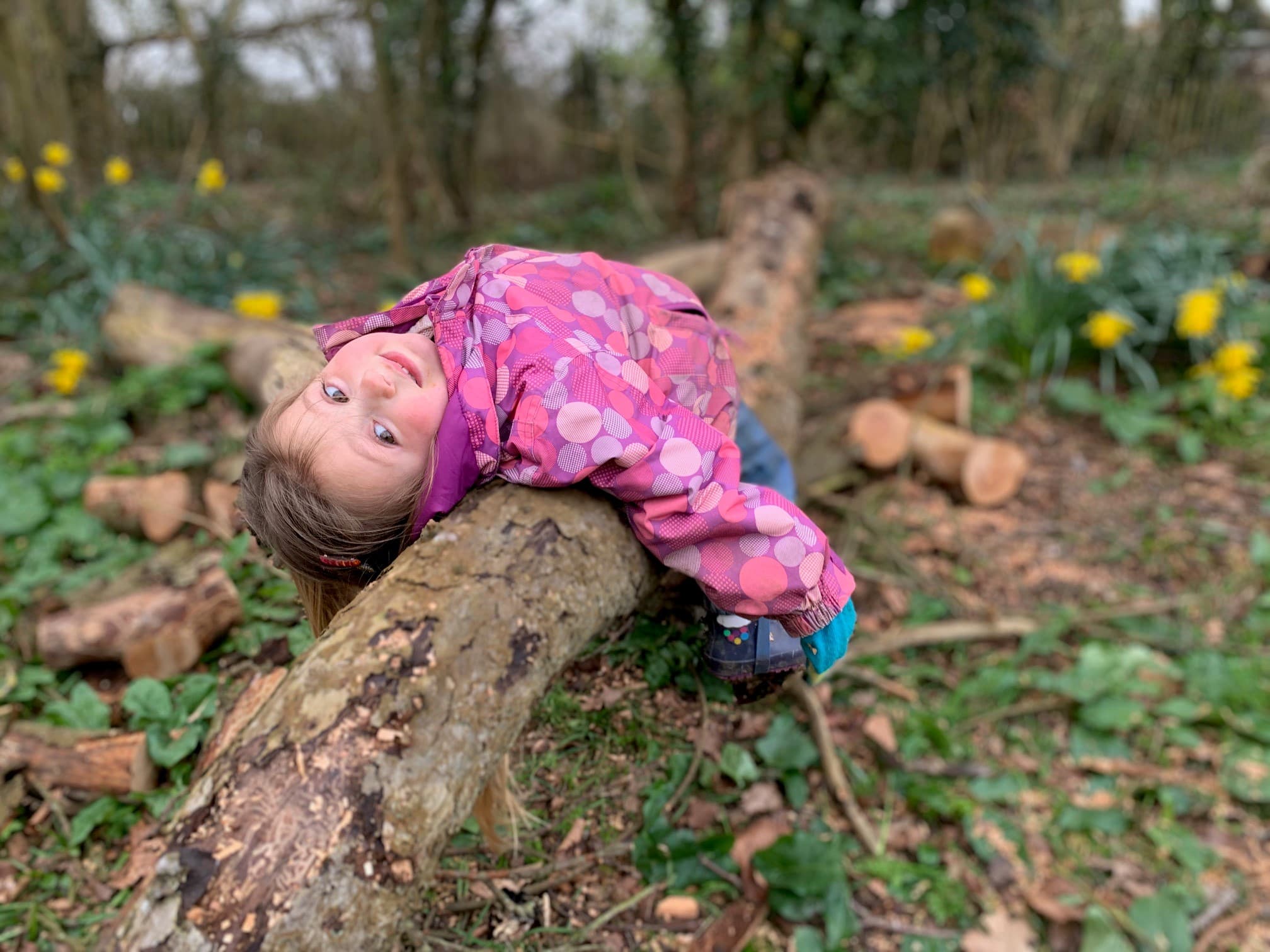 Wild Kids Forest Weekday Fun (8-11 yr olds) at Foxburrow