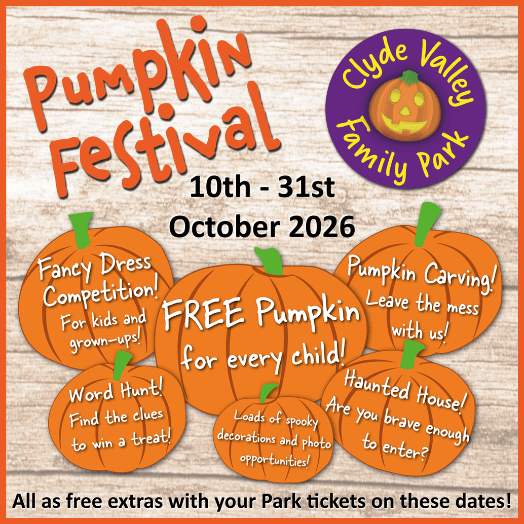 Pumpkin Festival